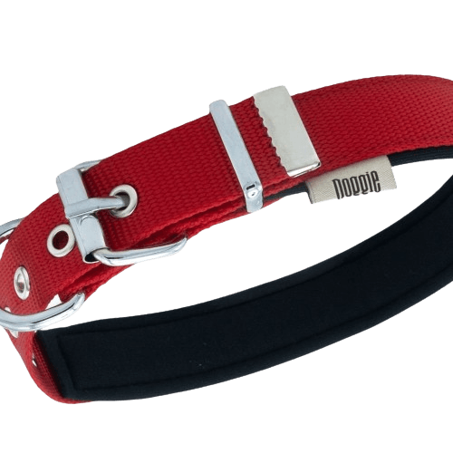 Doggie Konfor Dokuma Boyun Tasması Kırmızı 2,5X37-45Cm