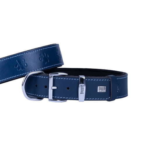 product cover image