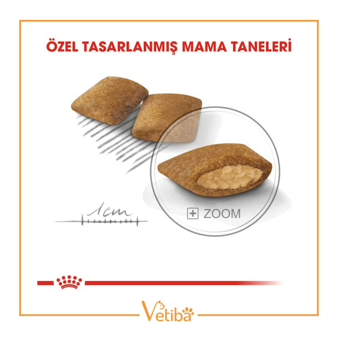 Royal Canin Mini Exigent Yetişkin Köpek Maması 3 kg