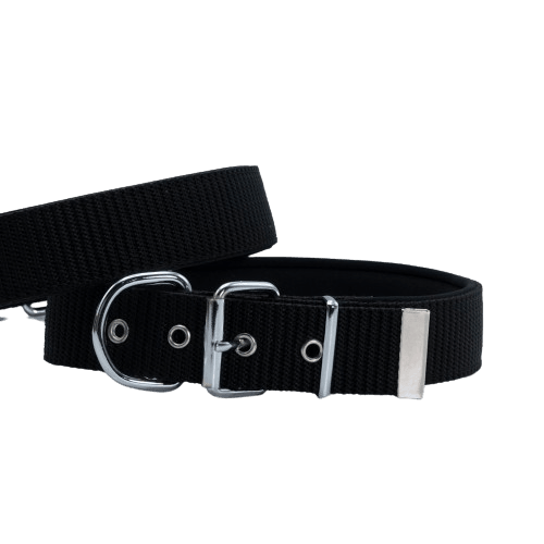 product cover image