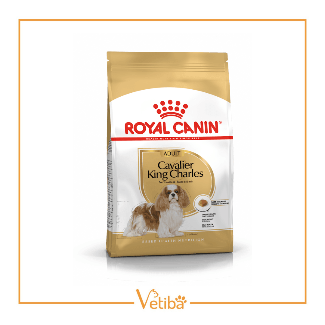 Royal Canin Cavalier King Charles Yetişkin Köpek Maması 3 kg - STD
