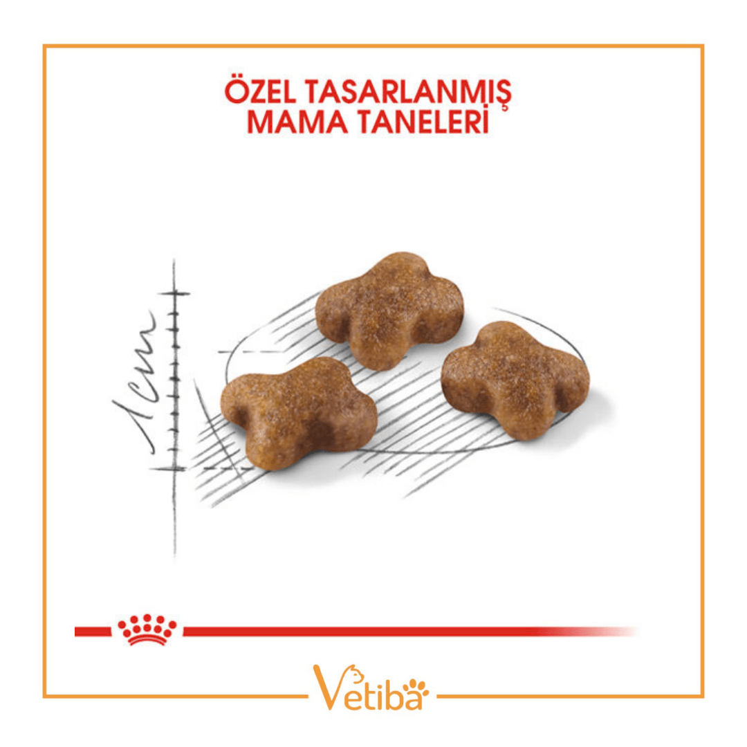 Royal Canin Kitten Yavru Kedi Mamasi 2 kg