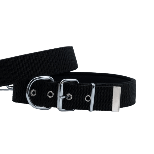 product cover image