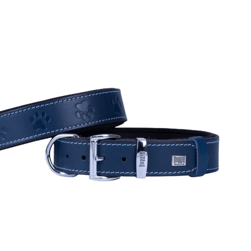 product cover image