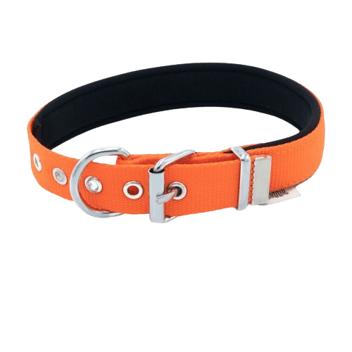 Doggie Konfor Dokuma Boyun Tasması Turuncu 2,5X37-45Cm - STD