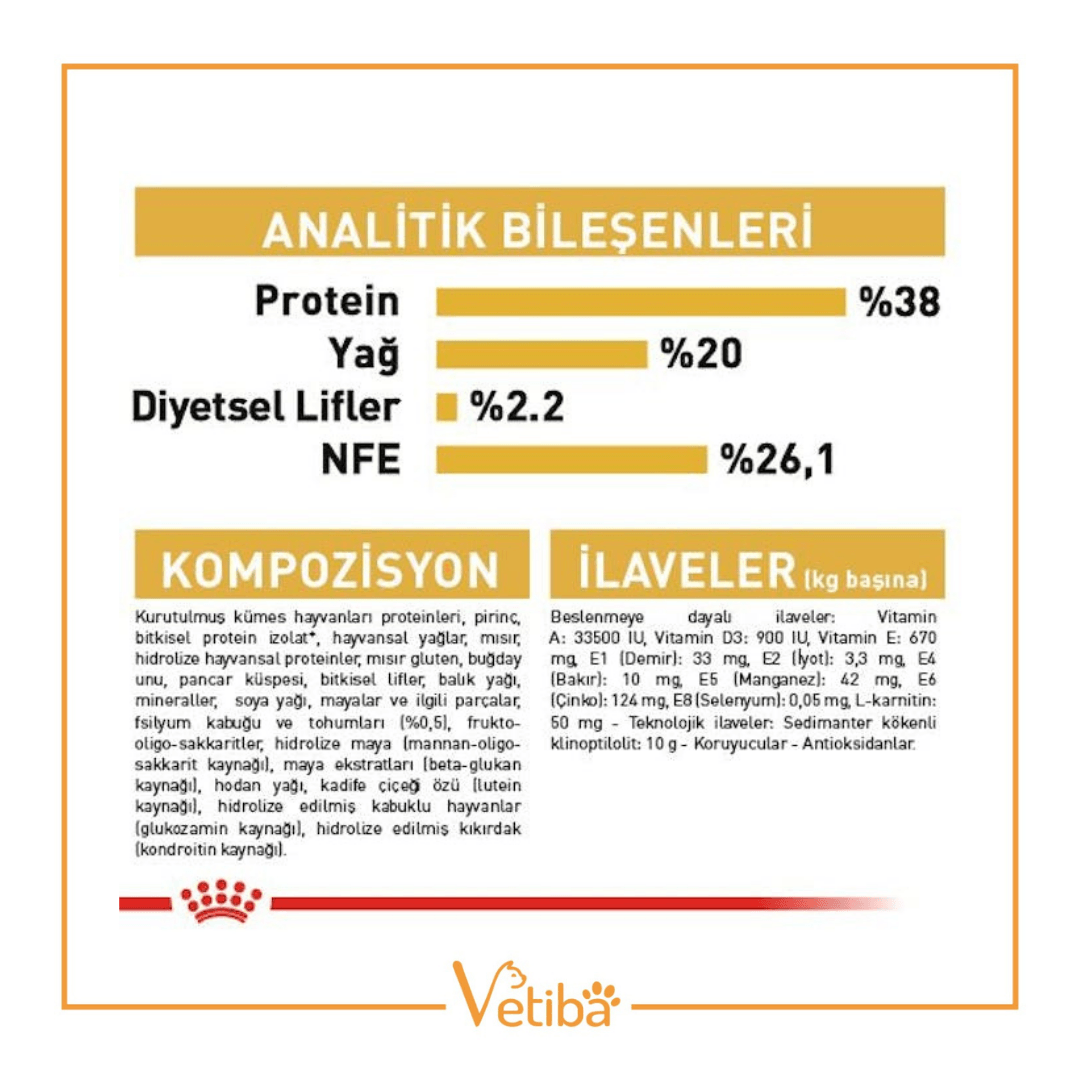 Royal Canin British Shorthair Kitten Yavru Kedi Maması 2 kg