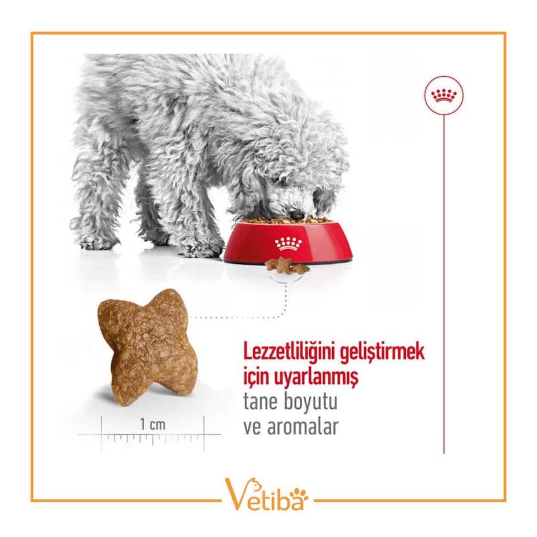 Royal Canin Mini Adult Yetişkin Köpek Maması 8 kg