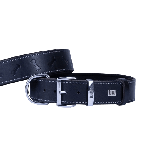 product cover image