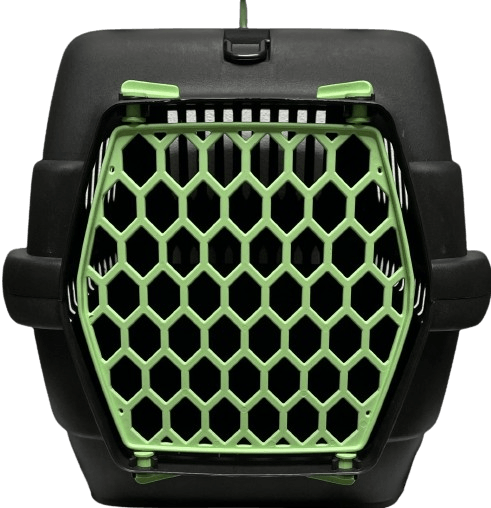 product cover image