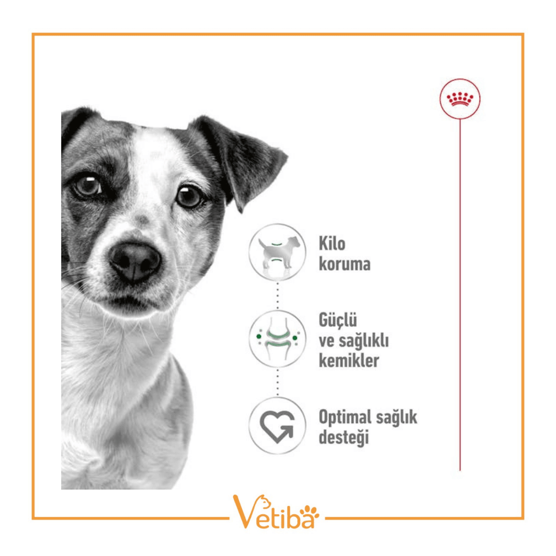 Royal Canin Mini Adult Küçük Irk Yetişkin Köpek Maması 2 kg