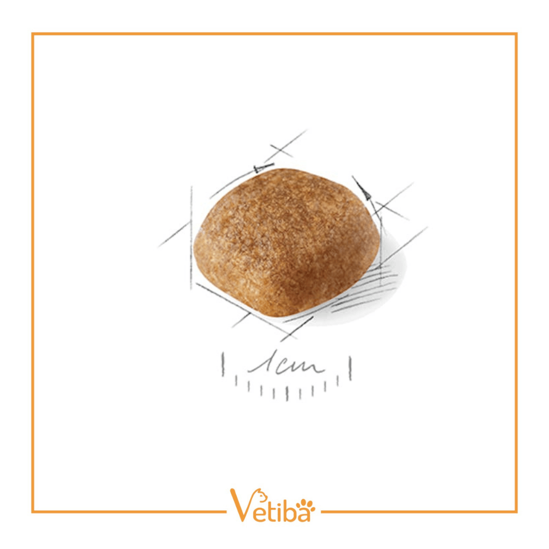 Royal Canin Cavalier King Charles Yetişkin Köpek Maması 3 kg