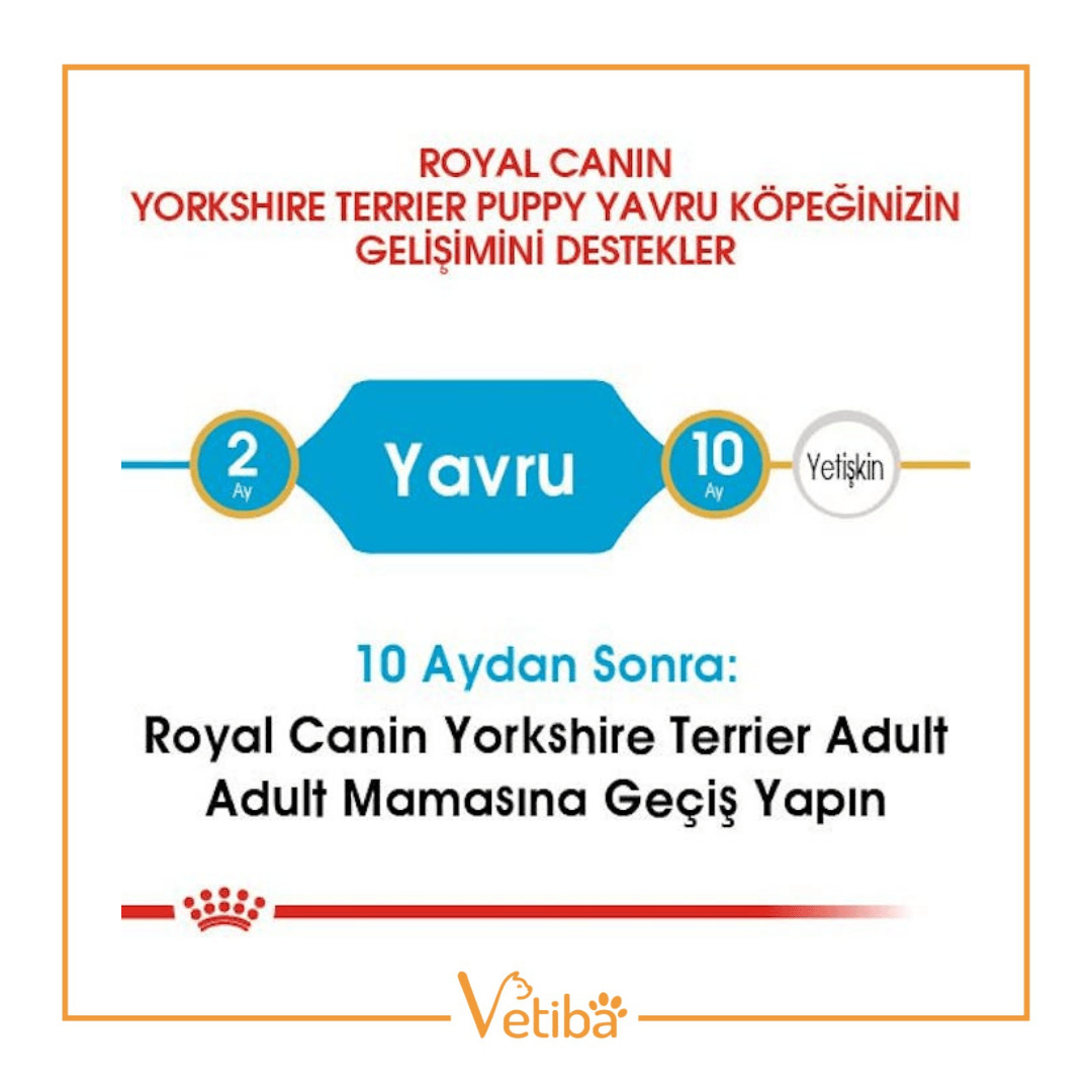 Royal Canin Yorkshire Terrier Puppy Yavru Köpek Maması 1.5 kg