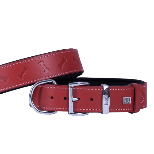 product cover image