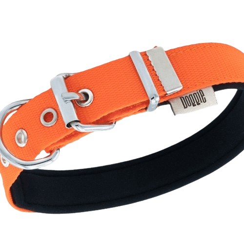 Doggie Konfor Dokuma Boyun Tasması Turuncu 2,5X37-45Cm