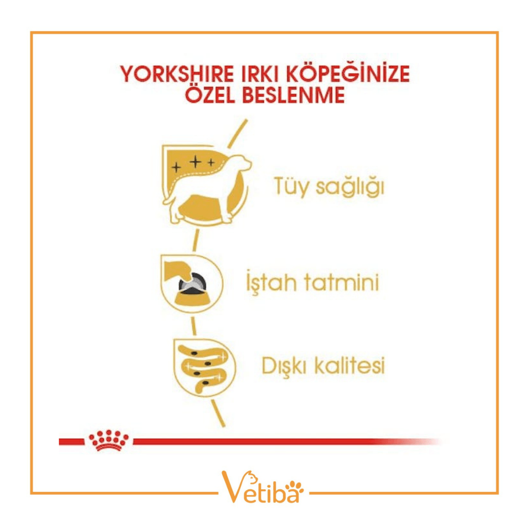 Royal Canin Yorkshire Terrier Yetişkin Köpek Yaş Maması 85 g