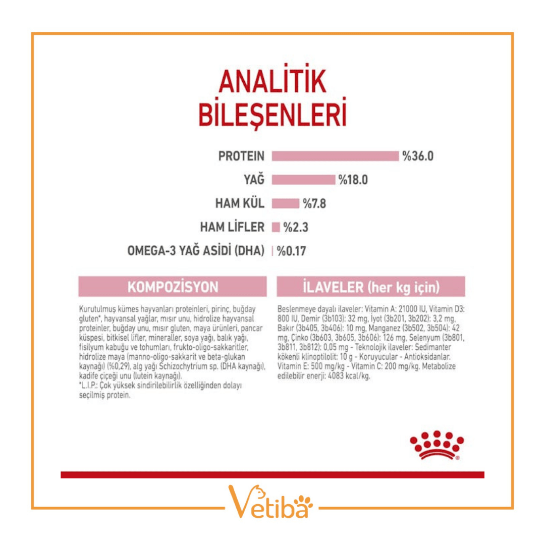 Royal Canin Kitten Yavru Kedi Maması 4 Kg