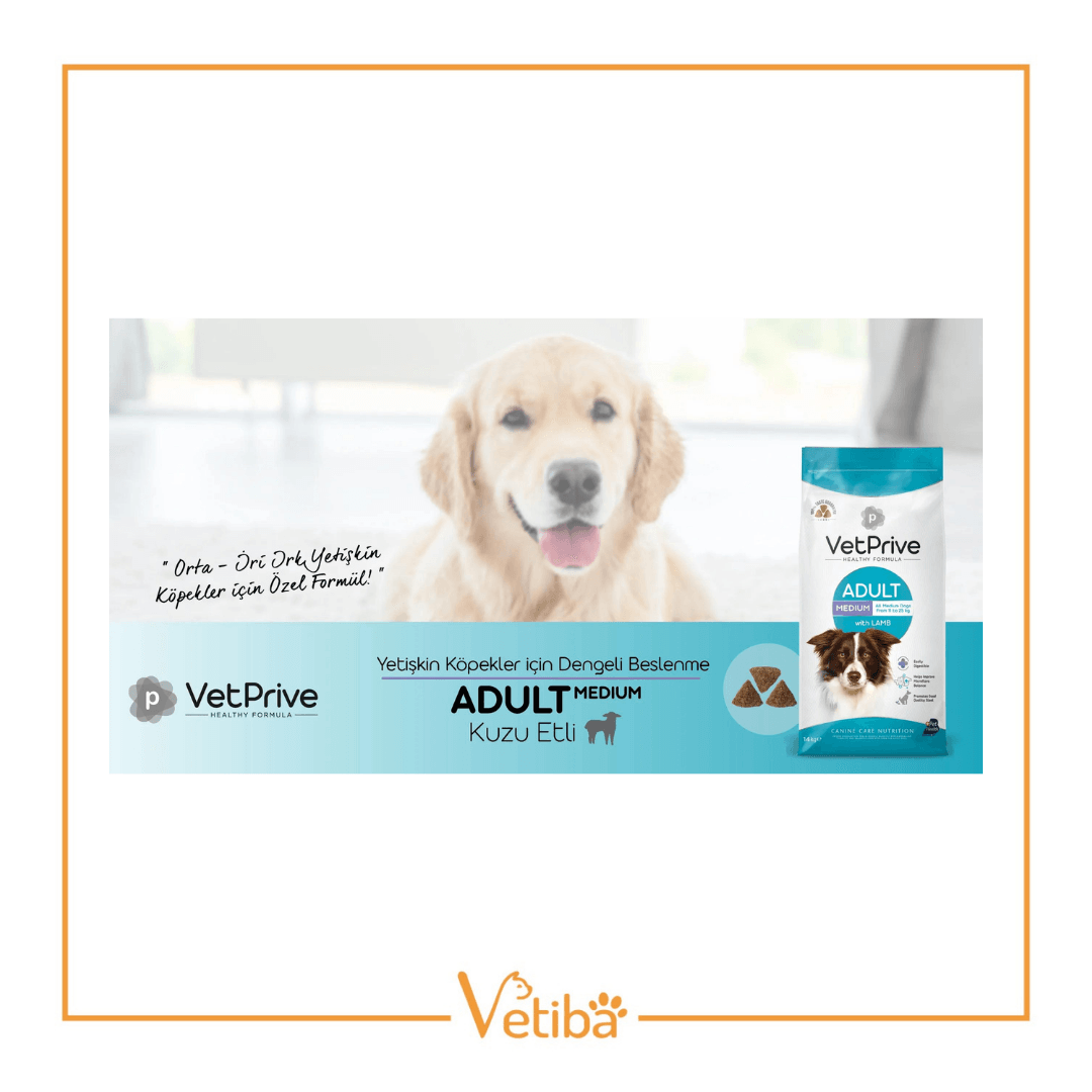 VetPrive Kuzu Etli Orta ve İri Irk Yetişkin Köpek Maması 14 kg