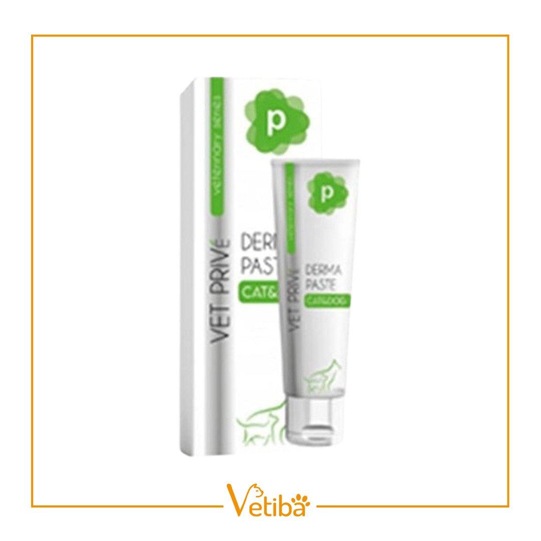 VetPrive Derma Paste Kedi Ve Köpekler Için Dermatolojik Pasta 100 g - STD