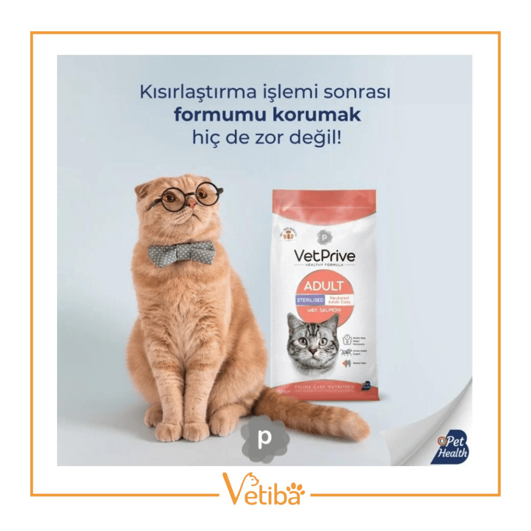 VetPrive Somonlu Kısır Kedi Maması 1.5 kg