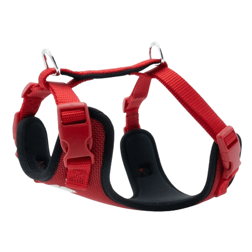 product cover image