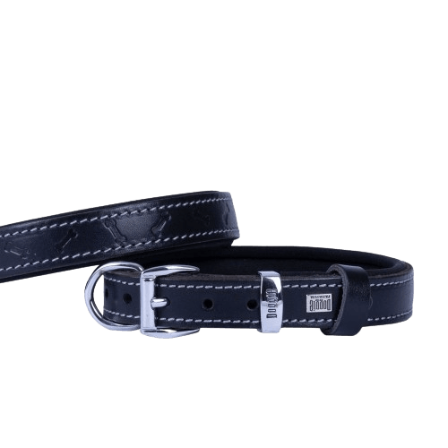 product cover image
