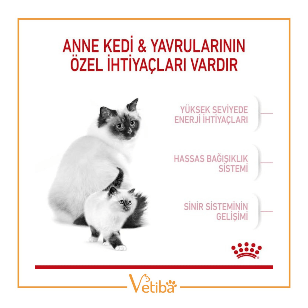 Royal Canin Mother Baby Cat Yavru Kedi Maması 2 kg