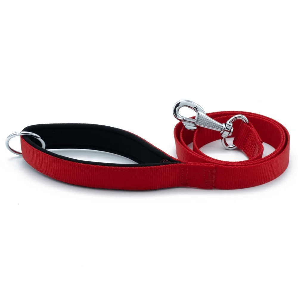 product cover image