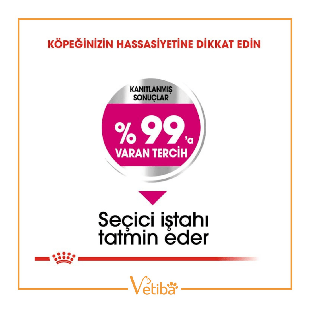 Royal Canin Mini Exigent Yetişkin Köpek Maması 3 kg