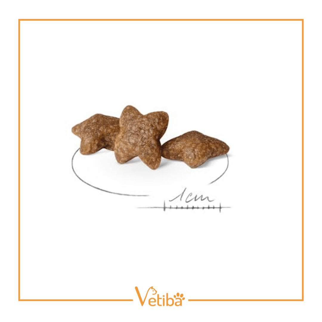 Royal Canin Mini Adult Yetişkin Köpek Maması 8 kg