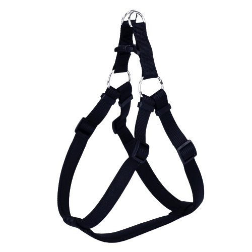 product cover image