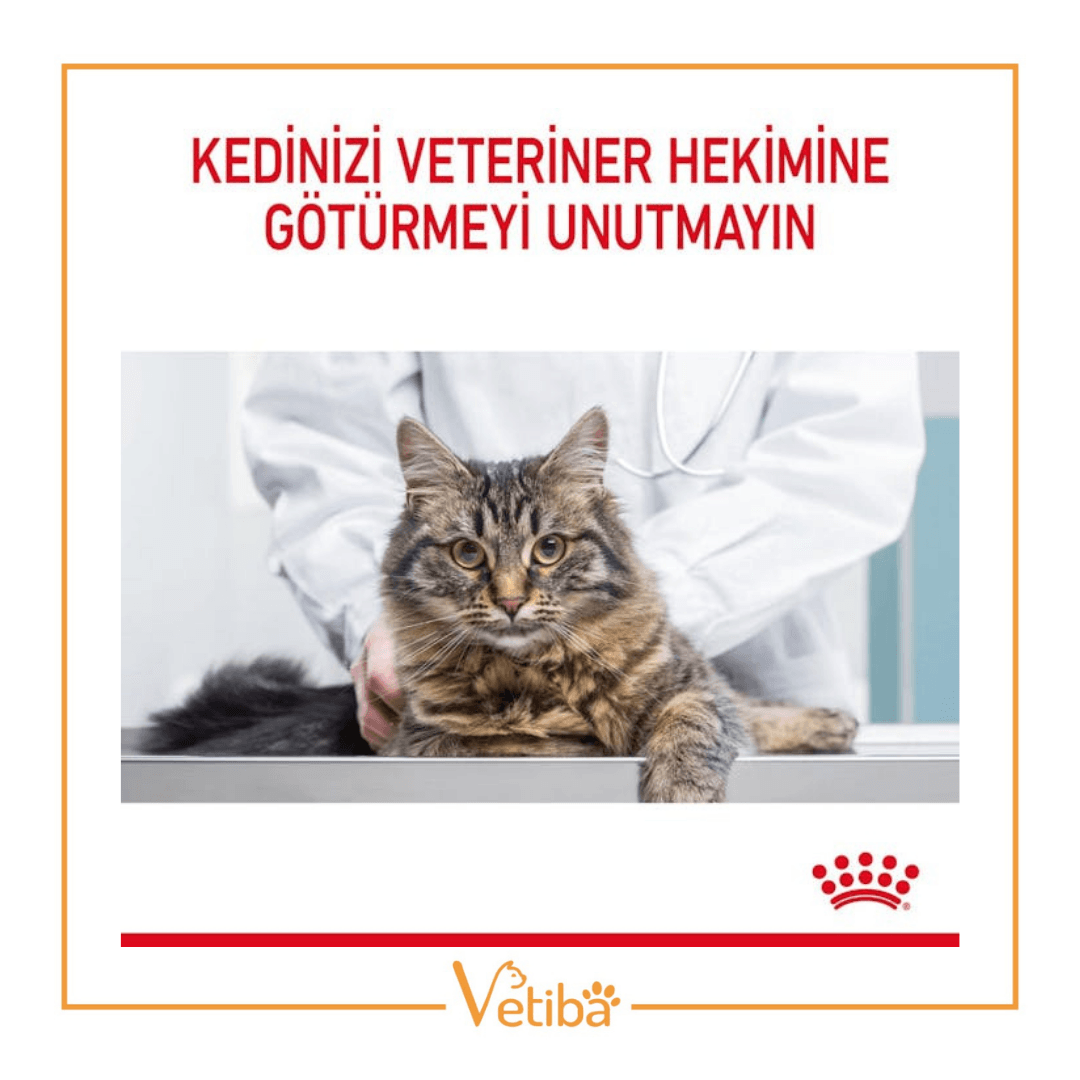 Royal Canin Hair Skin Jelly Yetişkin Kedi Yaş Maması 85 gr