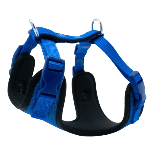 product cover image