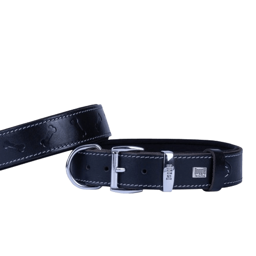 product cover image