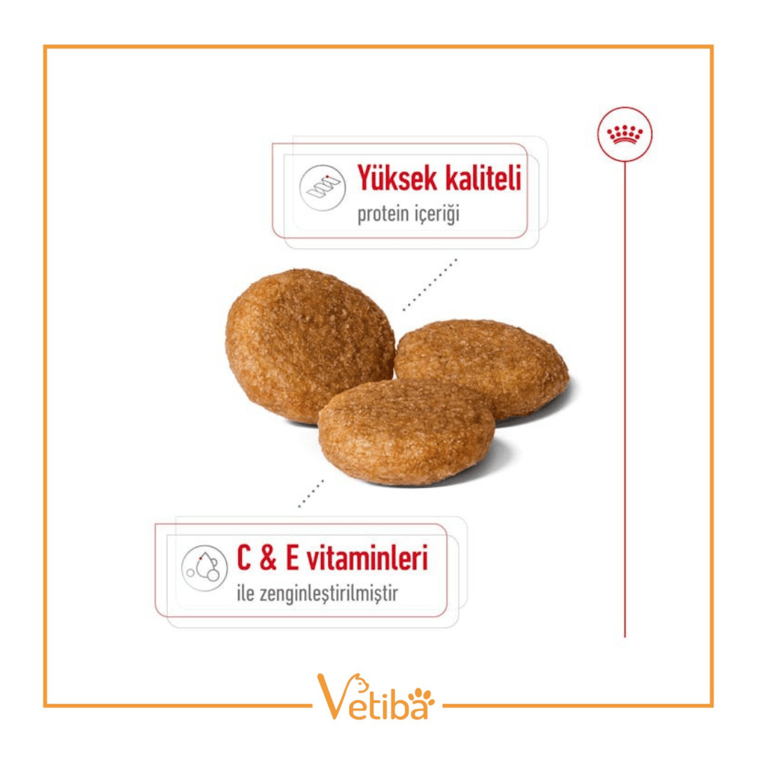 Royal Canin Medium Adult Yetişkin Köpek Maması 15 kg