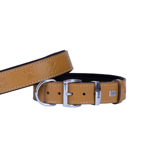 product cover image