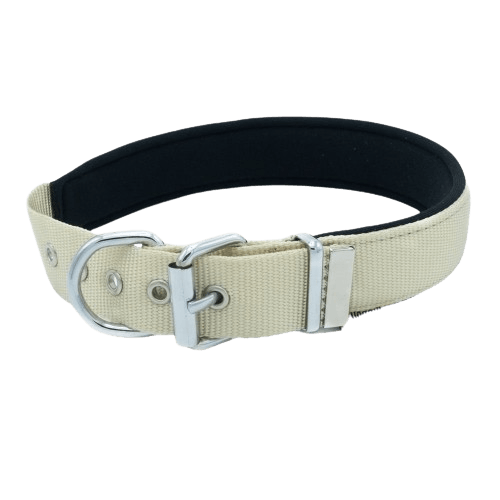 product cover image