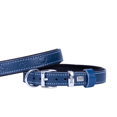 product cover image