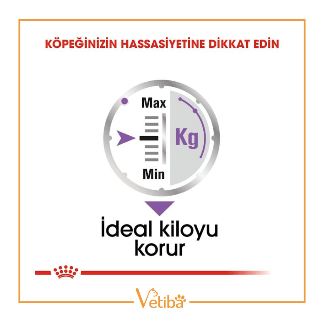 Royal Canin Sterilısed Yetişkin Köpek Yaş Maması 85 g