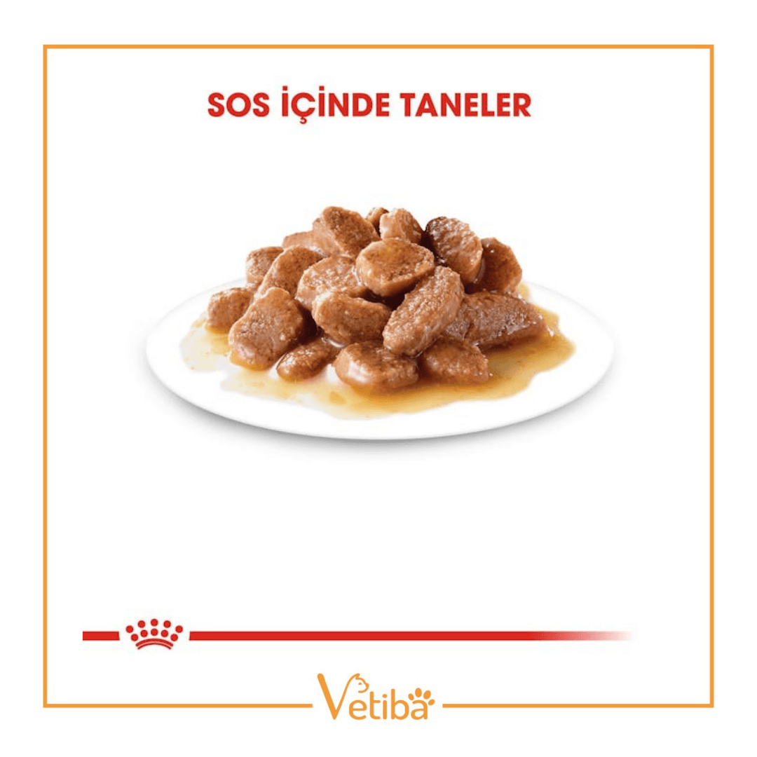 Royal Canin Sterilısed Gravy Kısırlaştırılmış Kedi Yaş Maması 85 gr