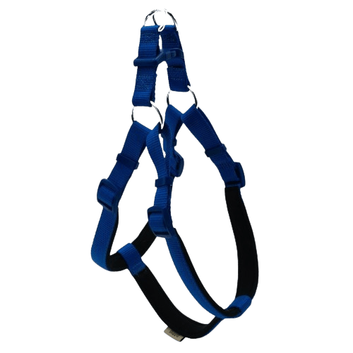 product cover image
