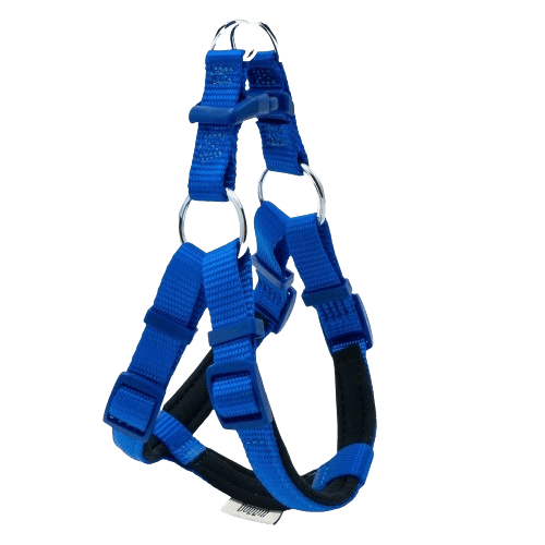 product cover image