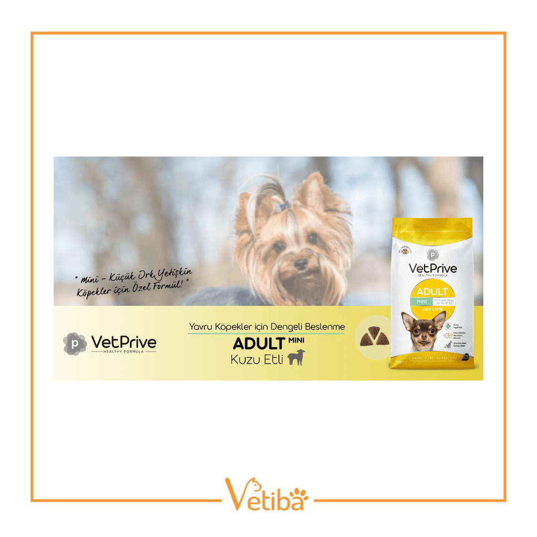 VetPrive Kuzu Etli Mini Yetişkin Köpek Maması 3 kg