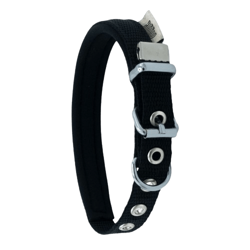 product cover image