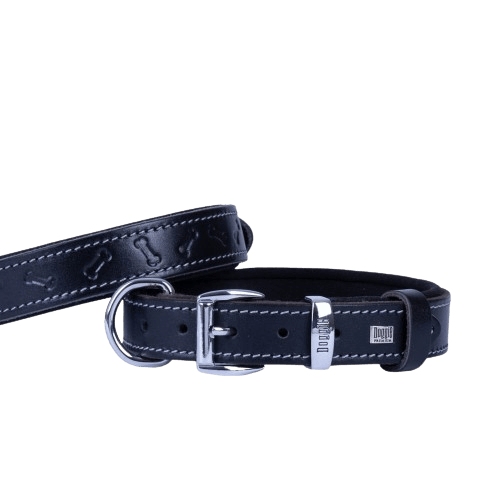 product cover image