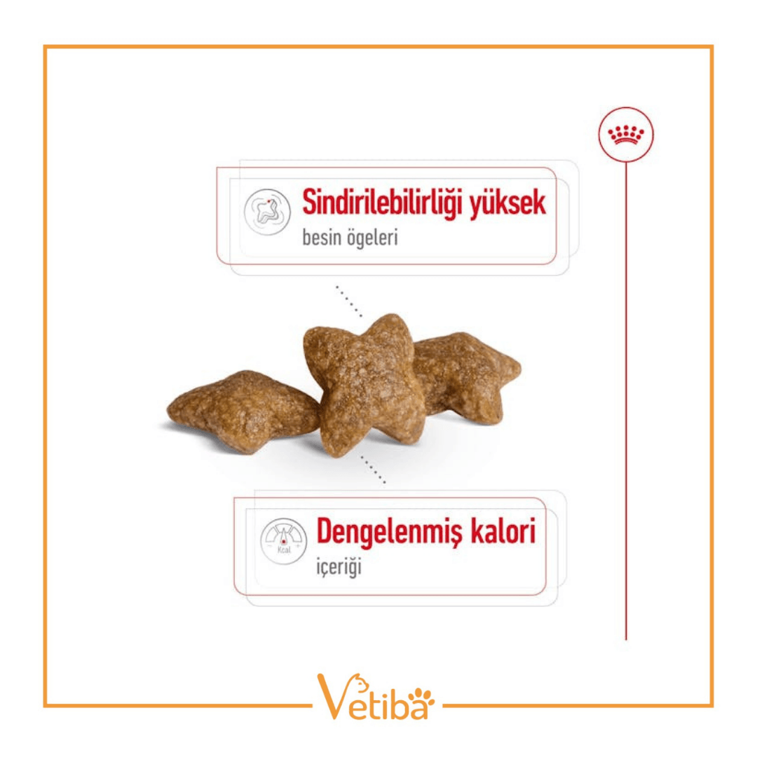 Royal Canin Mini Adult Yetişkin Köpek Maması 8 kg