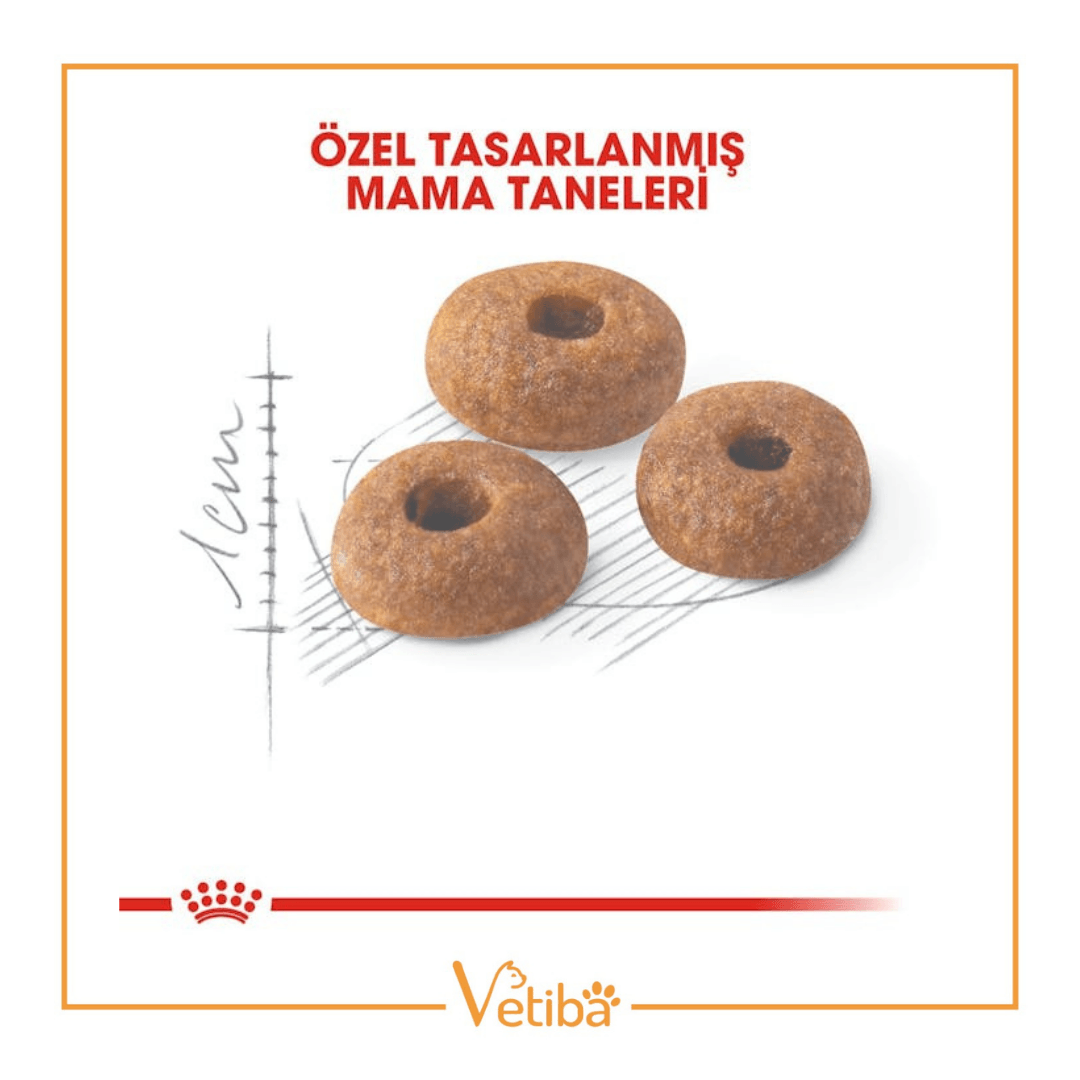 Royal Canin Fit 32 Yetişkin Kedi Maması 15 kg