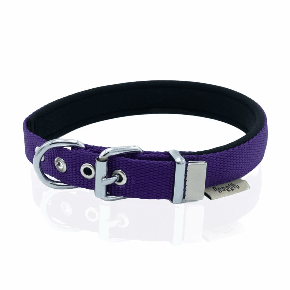 product cover image