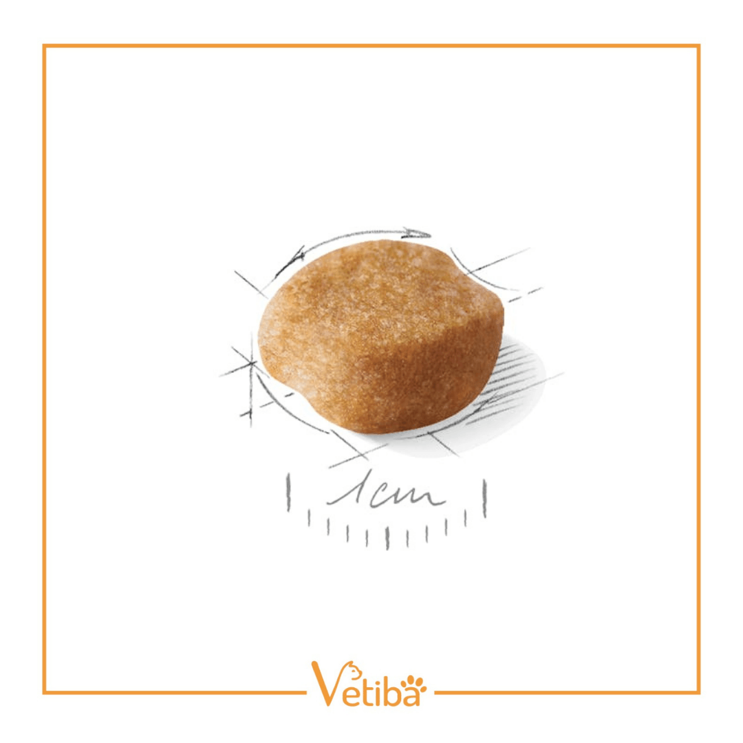 Royal Canin Yorkshire Terrier Adult Yetişkin Köpek Maması 1.5 kg