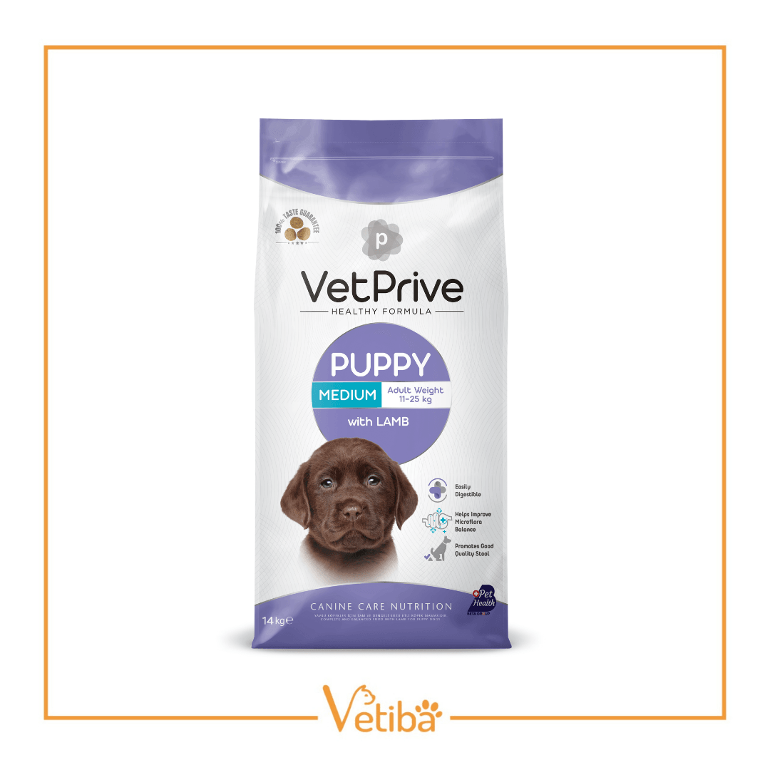 VetPrive Kuzu Etli Orta ve İri Irk Yavru Köpek Maması 14 kg - STD