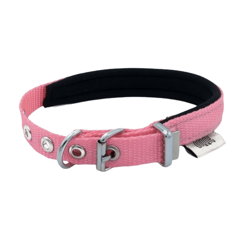 product cover image